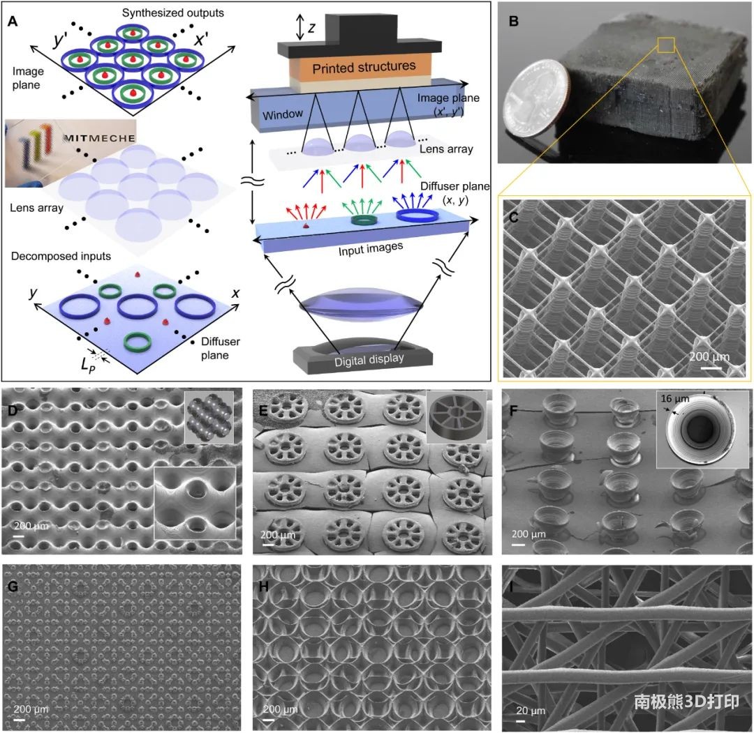 ҵ̬  |  Science advances: ͼתѵĹ̻ӡ